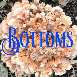 Skirts and pants a-go-go